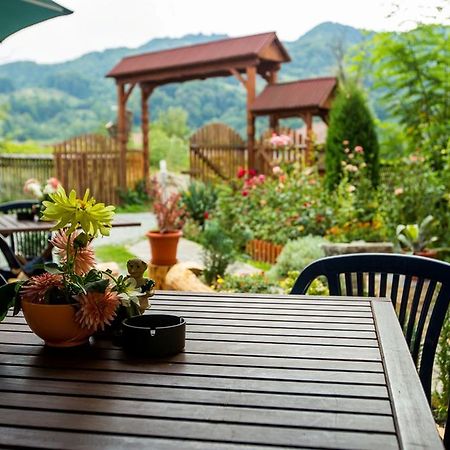 Pension Agnes Вишеу-де-Сус Экстерьер фото