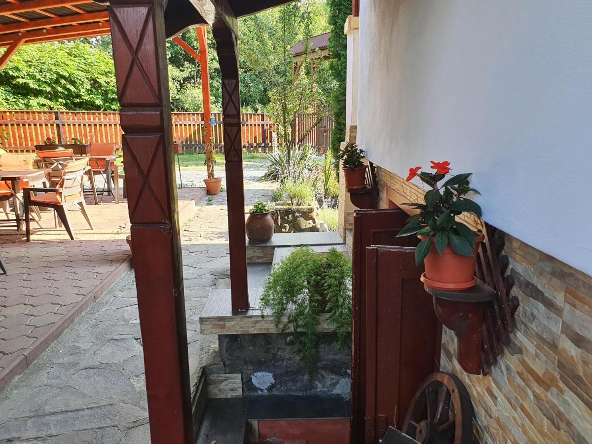 Pension Agnes Вишеу-де-Сус Экстерьер фото