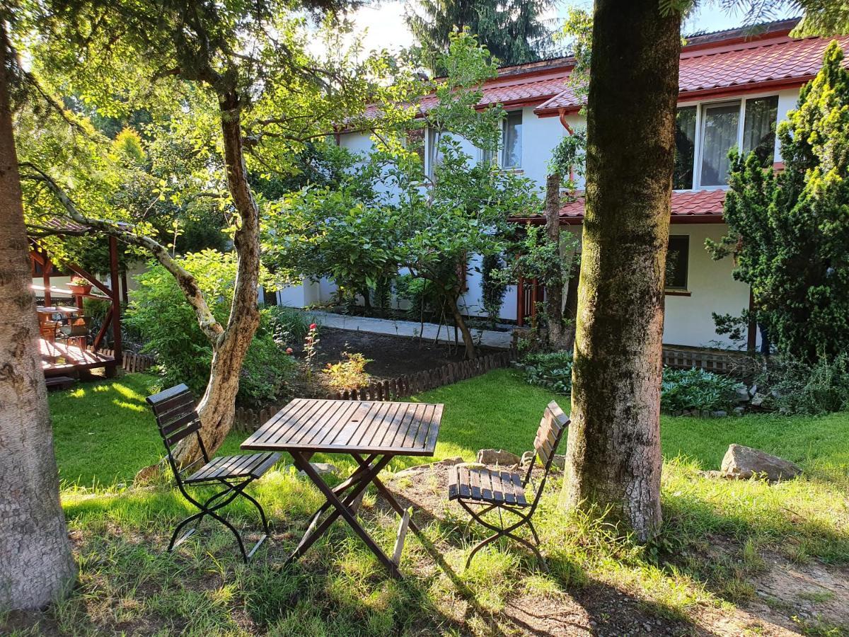 Pension Agnes Вишеу-де-Сус Экстерьер фото