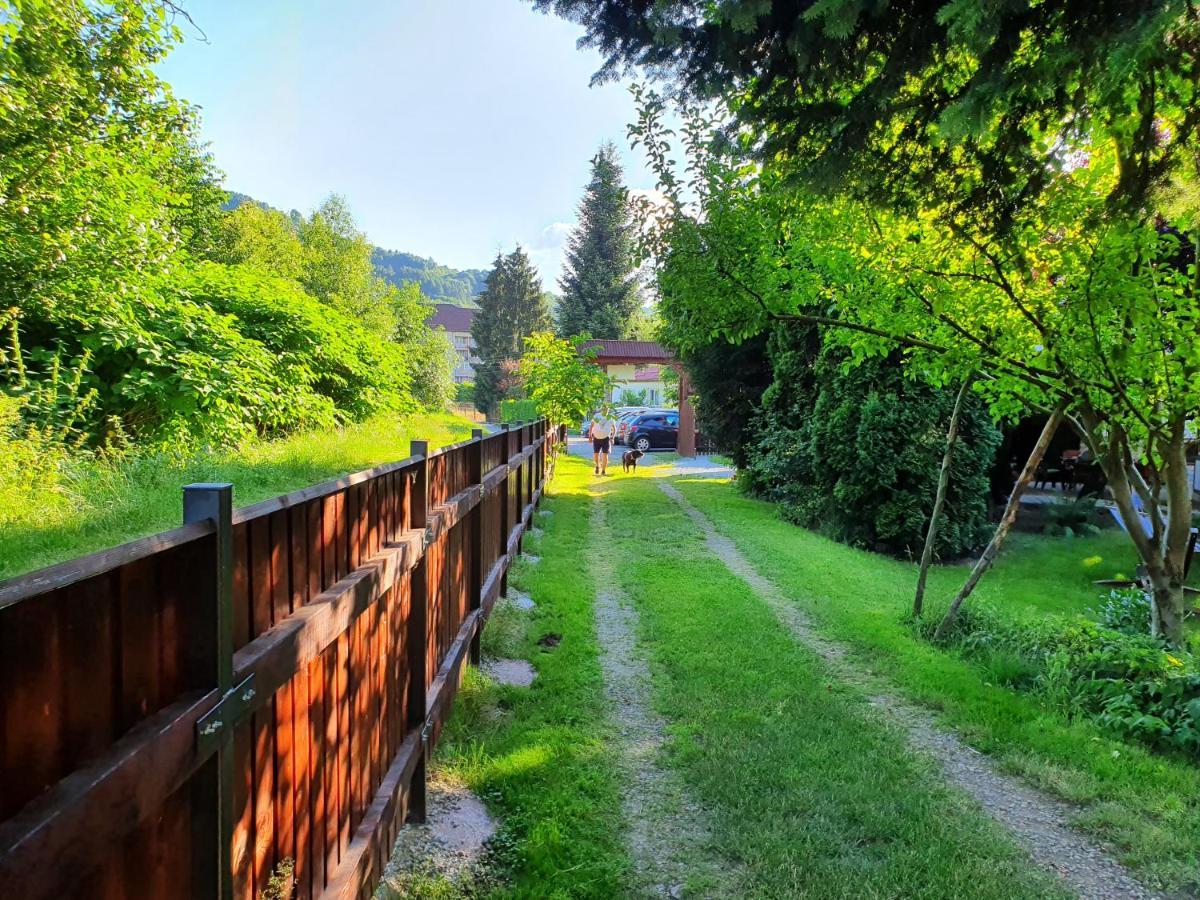 Pension Agnes Вишеу-де-Сус Экстерьер фото
