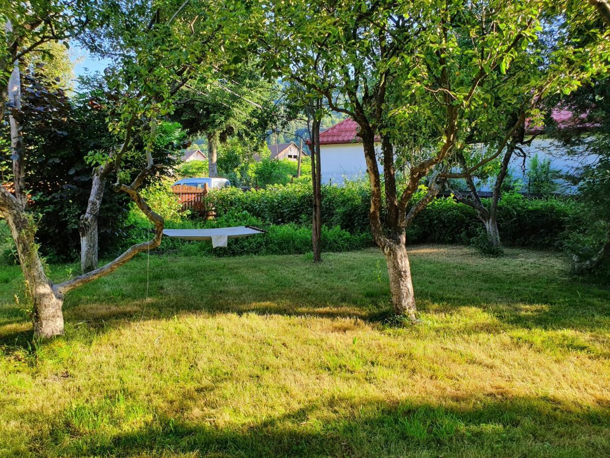 Pension Agnes Вишеу-де-Сус Экстерьер фото