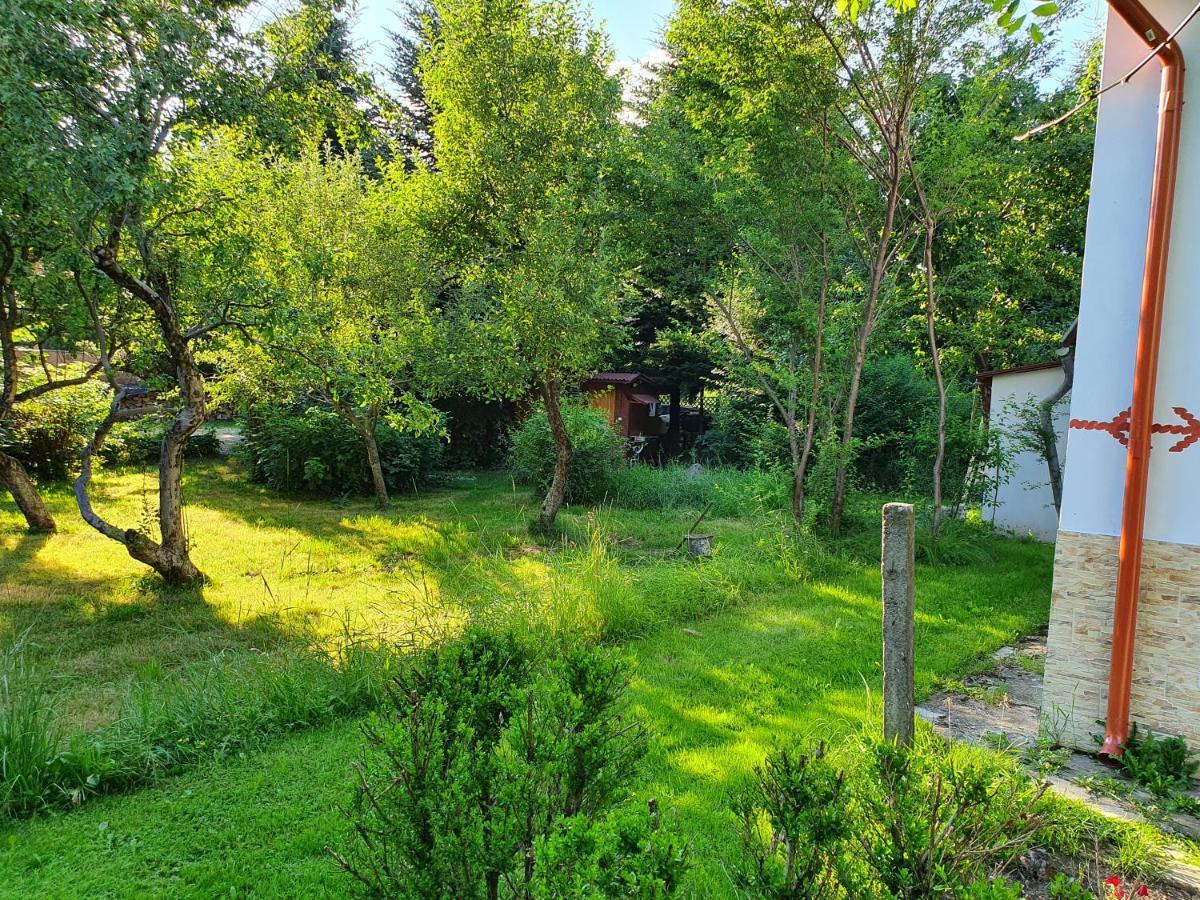 Pension Agnes Вишеу-де-Сус Экстерьер фото