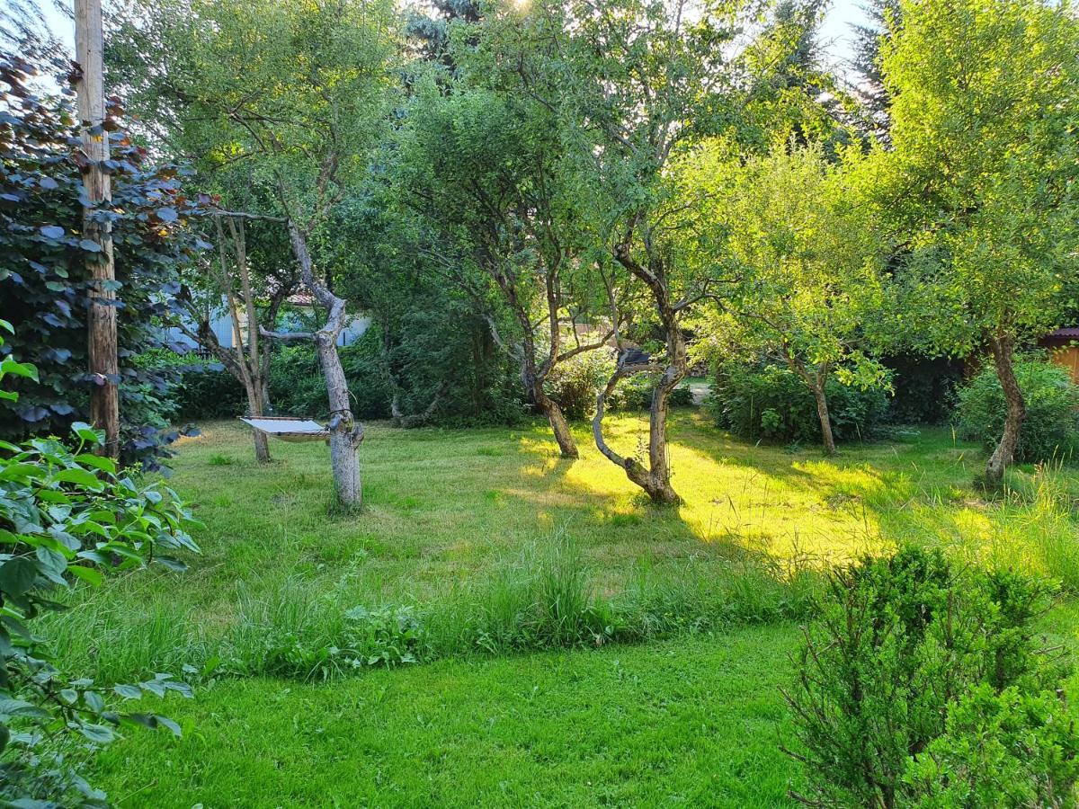 Pension Agnes Вишеу-де-Сус Экстерьер фото