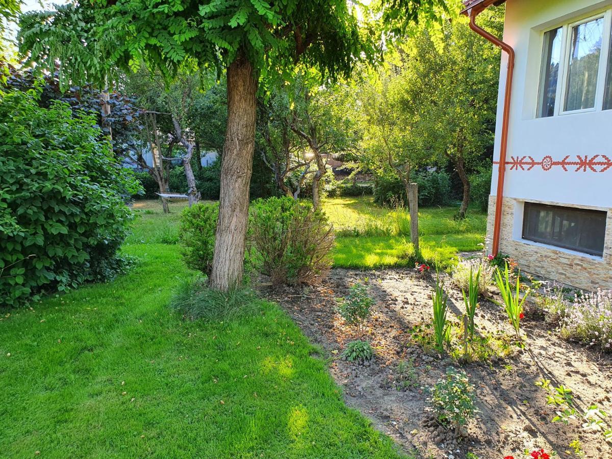 Pension Agnes Вишеу-де-Сус Экстерьер фото