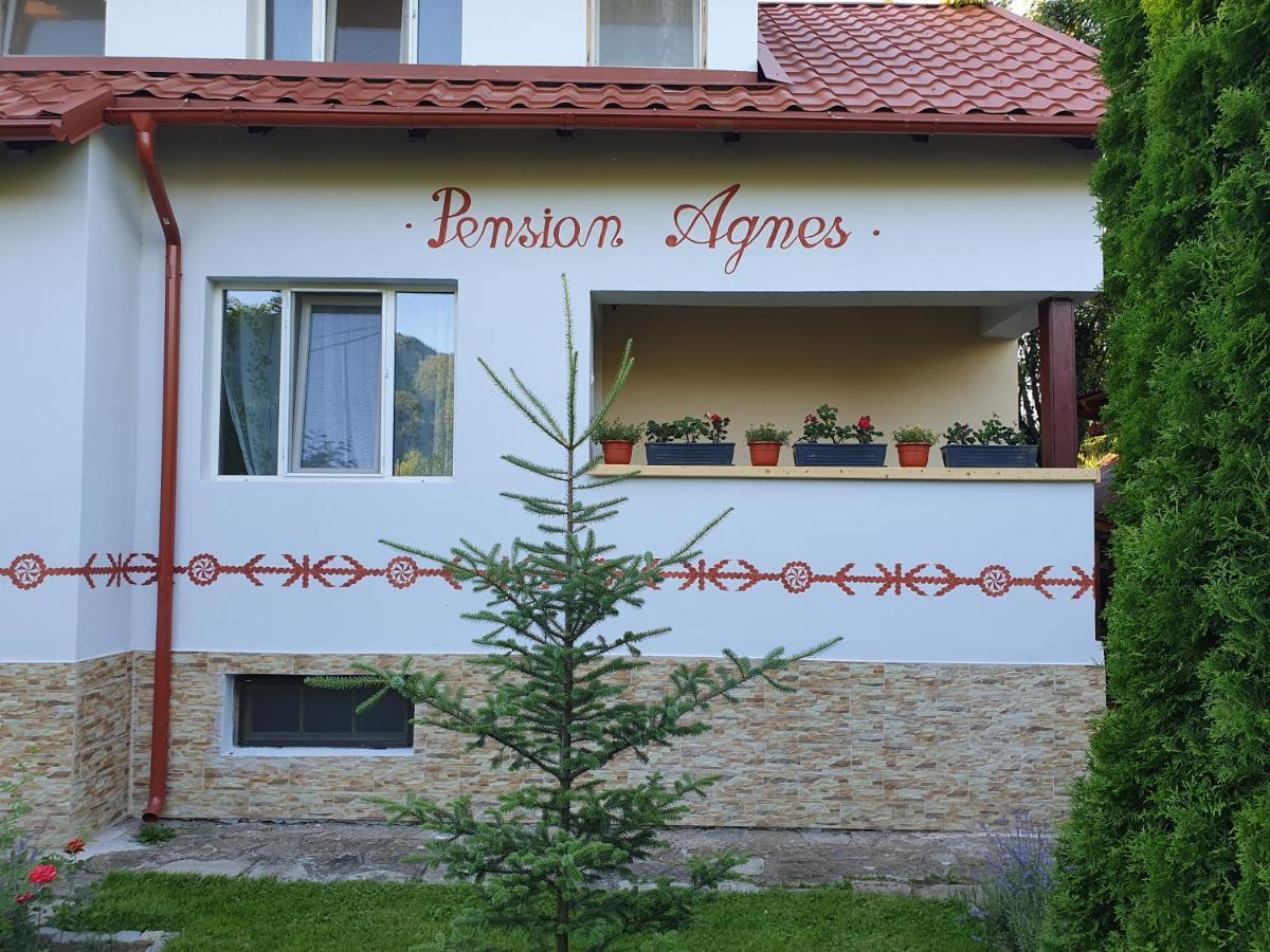 Pension Agnes Вишеу-де-Сус Экстерьер фото