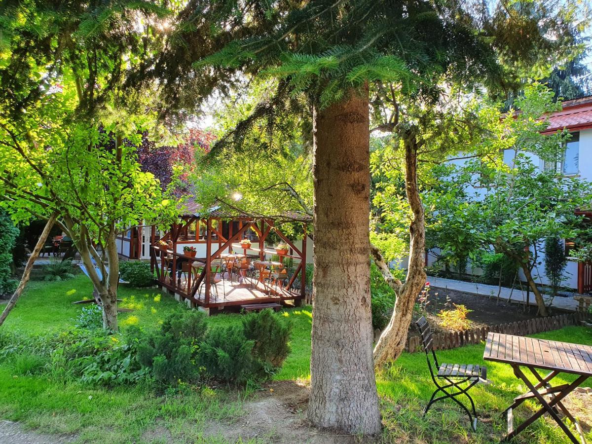 Pension Agnes Вишеу-де-Сус Экстерьер фото
