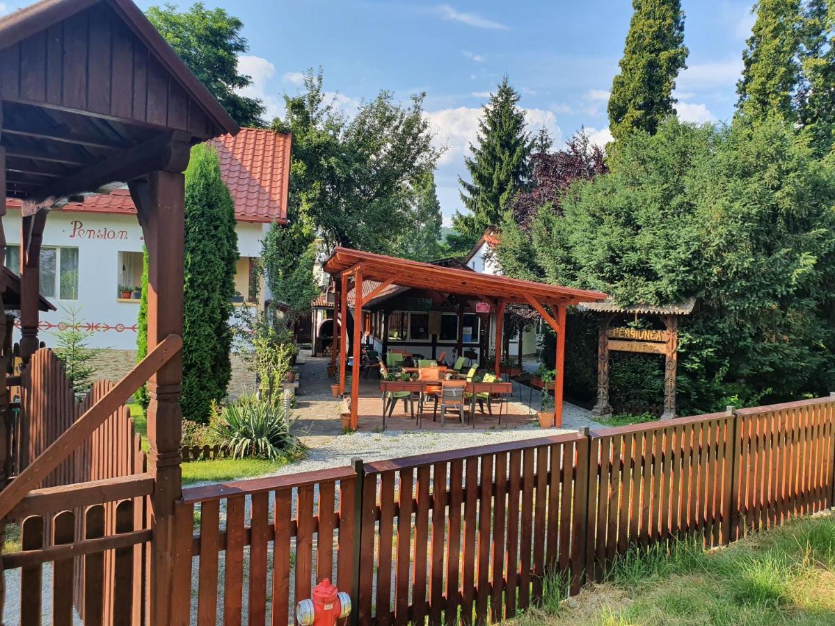 Pension Agnes Вишеу-де-Сус Экстерьер фото