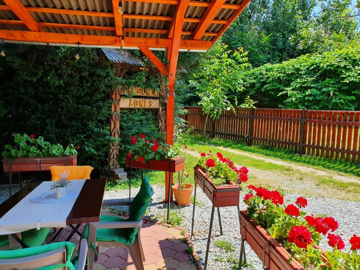 Pension Agnes Вишеу-де-Сус Экстерьер фото