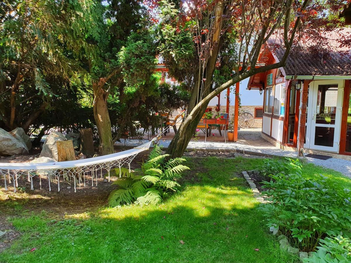 Pension Agnes Вишеу-де-Сус Экстерьер фото