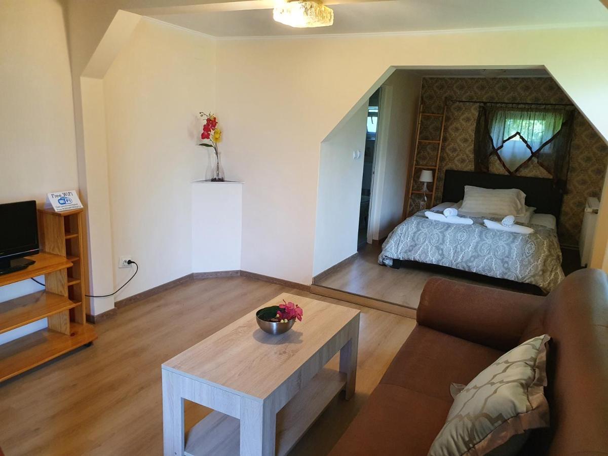 Pension Agnes Вишеу-де-Сус Экстерьер фото