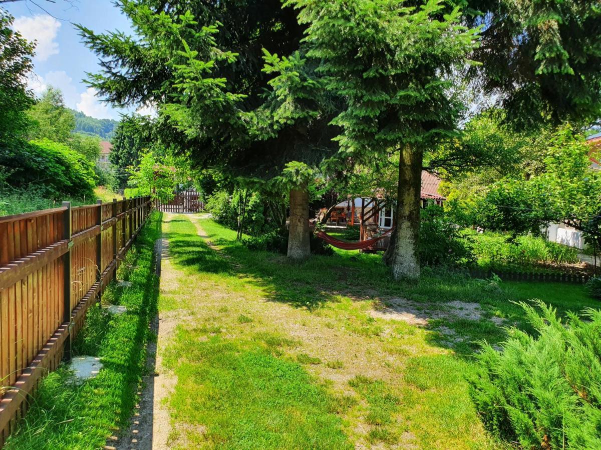 Pension Agnes Вишеу-де-Сус Экстерьер фото