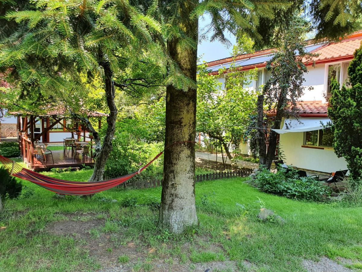 Pension Agnes Вишеу-де-Сус Экстерьер фото