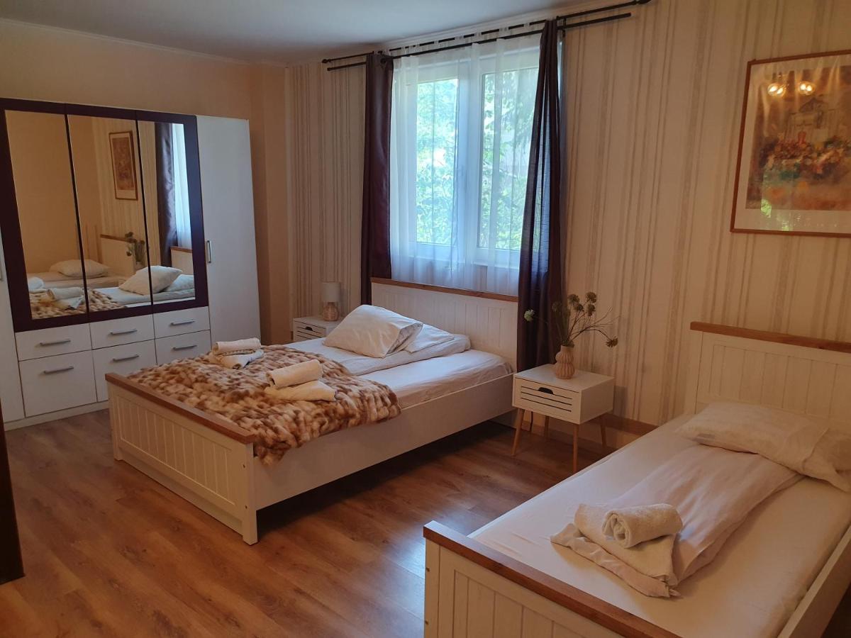 Pension Agnes Вишеу-де-Сус Экстерьер фото