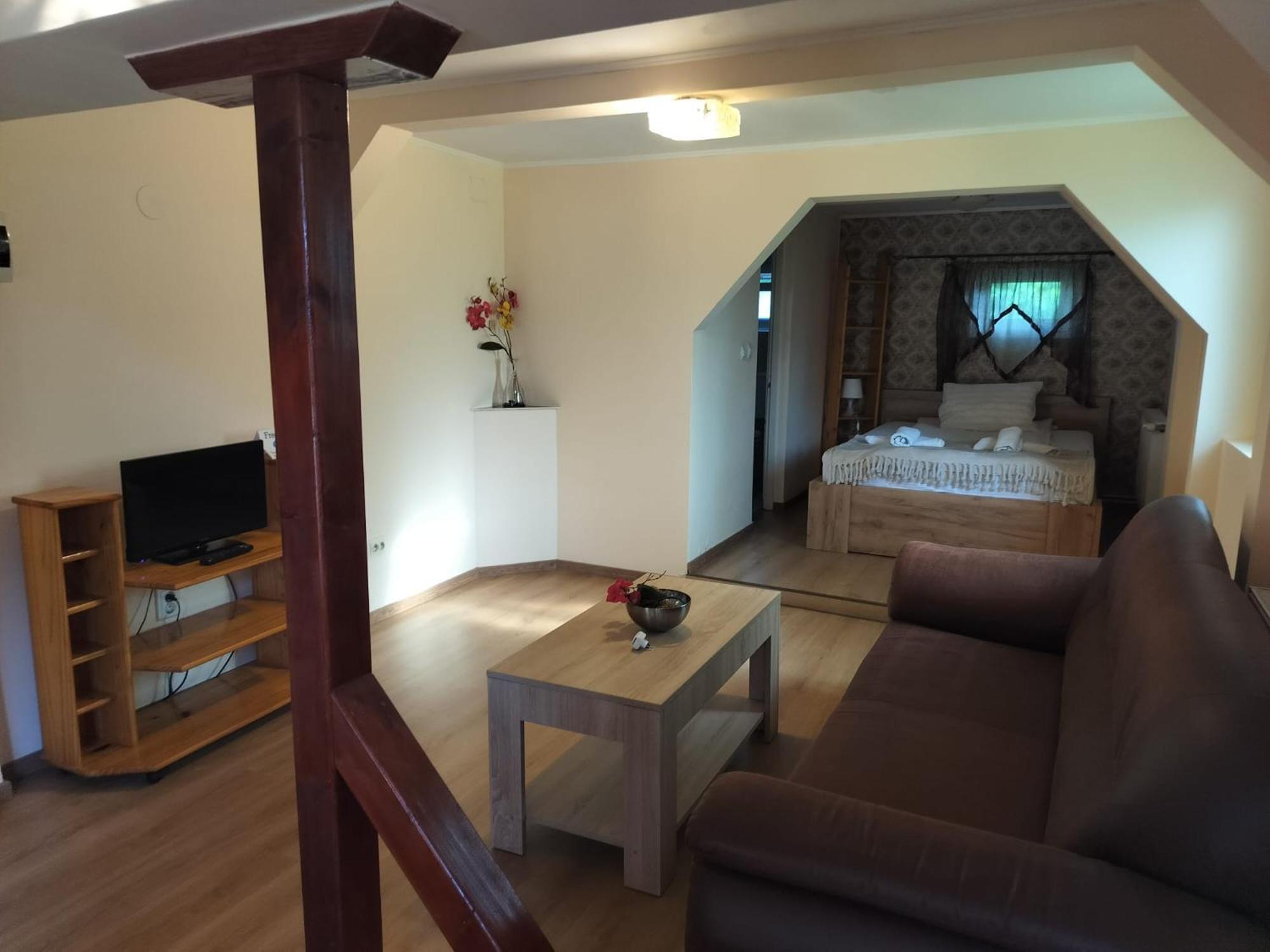 Pension Agnes Вишеу-де-Сус Экстерьер фото
