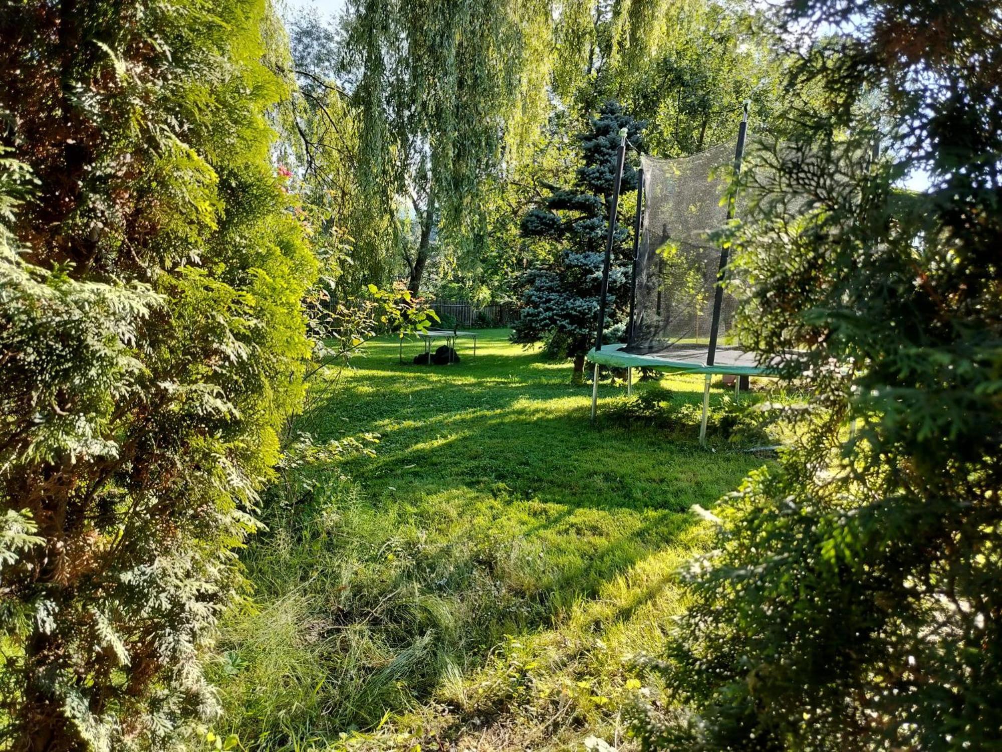 Pension Agnes Вишеу-де-Сус Экстерьер фото