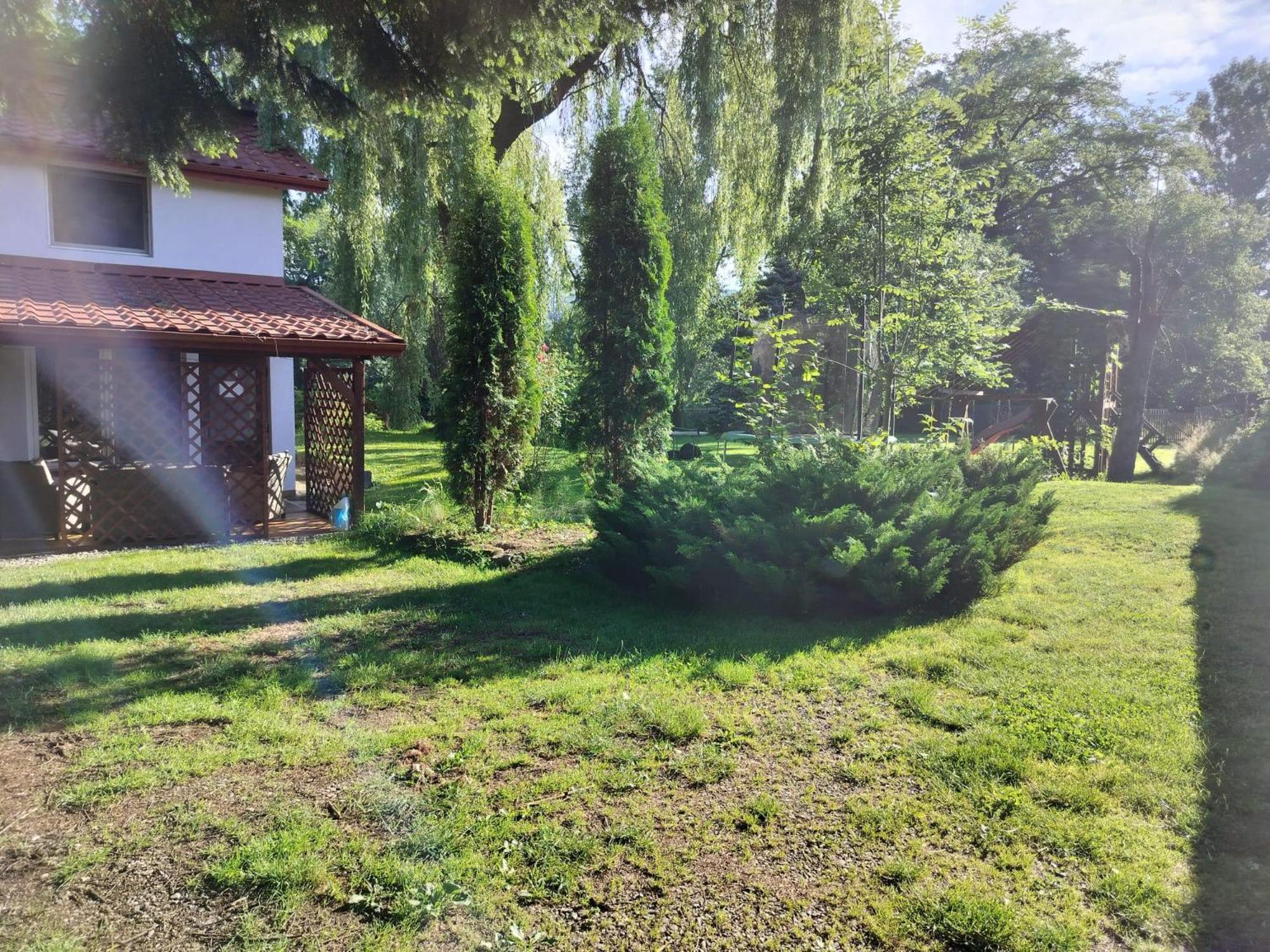 Pension Agnes Вишеу-де-Сус Экстерьер фото