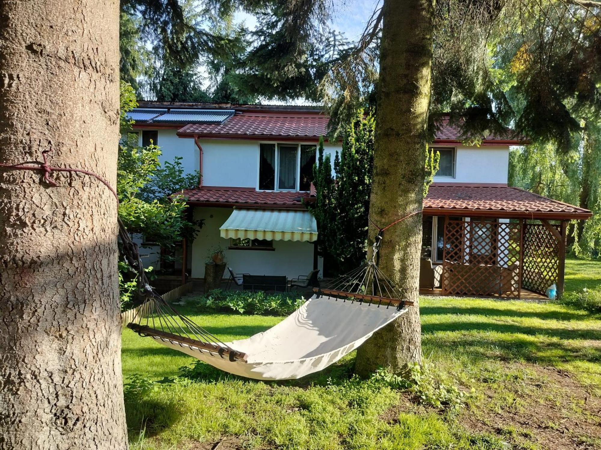Pension Agnes Вишеу-де-Сус Экстерьер фото