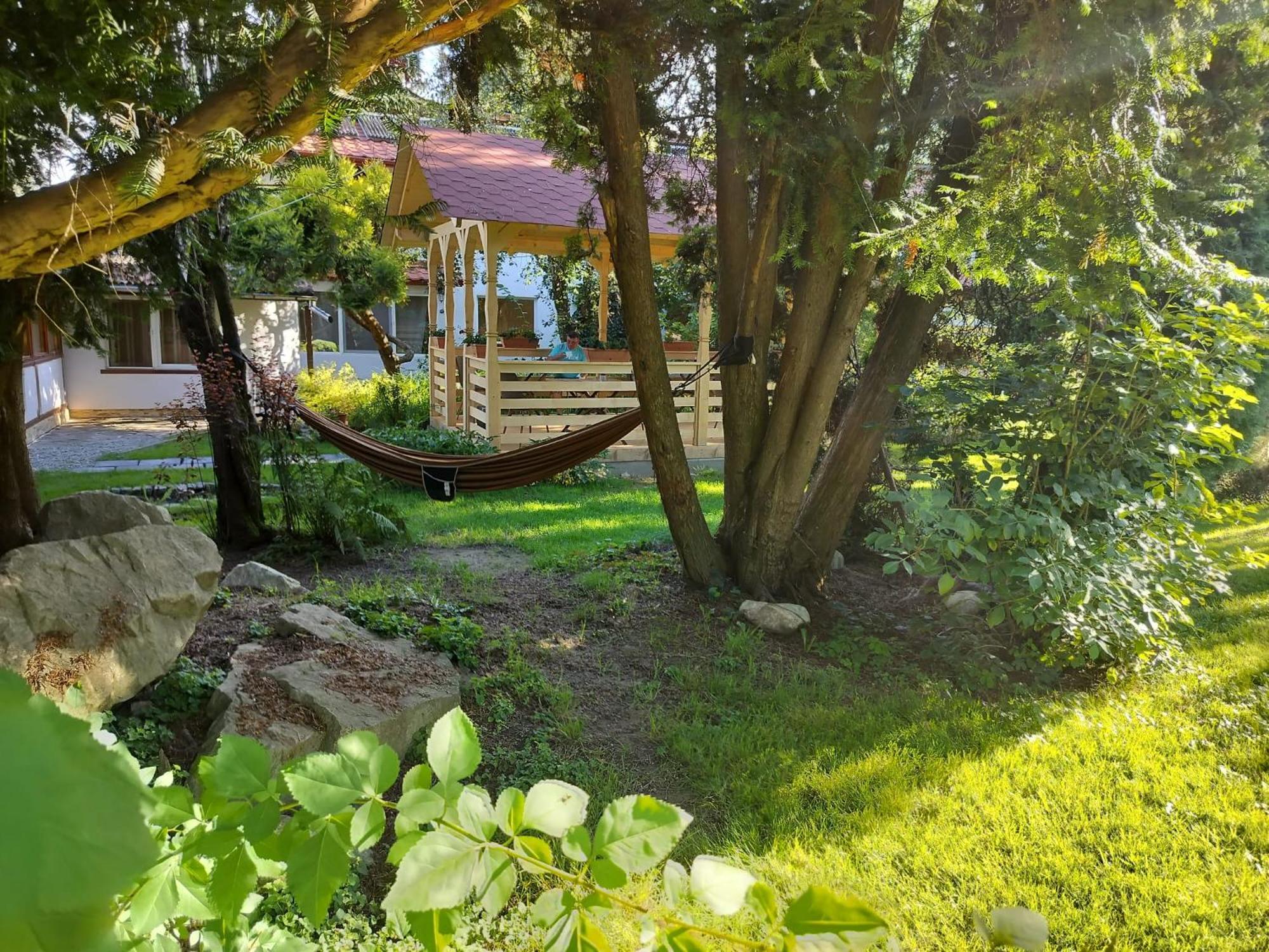 Pension Agnes Вишеу-де-Сус Экстерьер фото