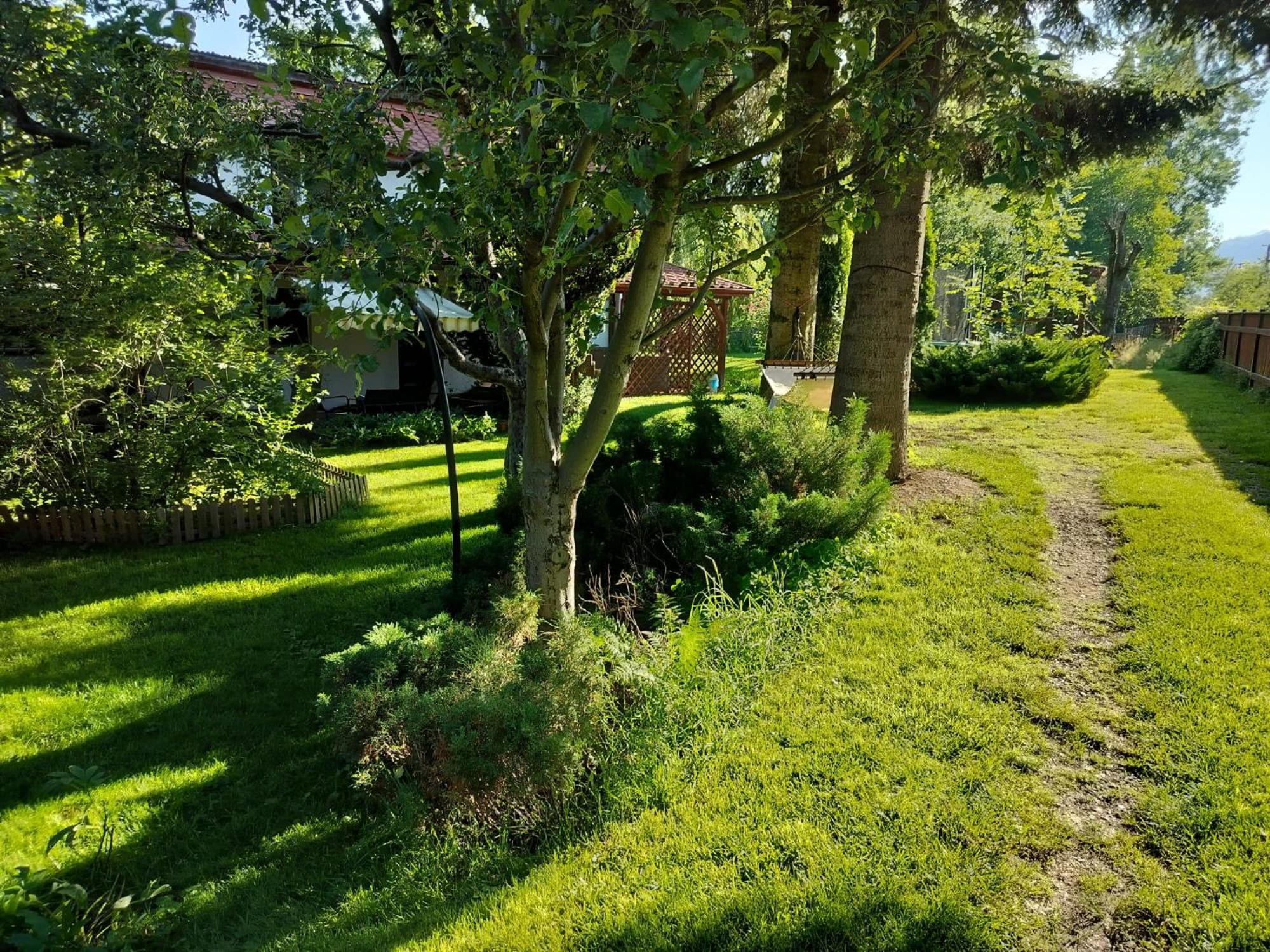 Pension Agnes Вишеу-де-Сус Экстерьер фото