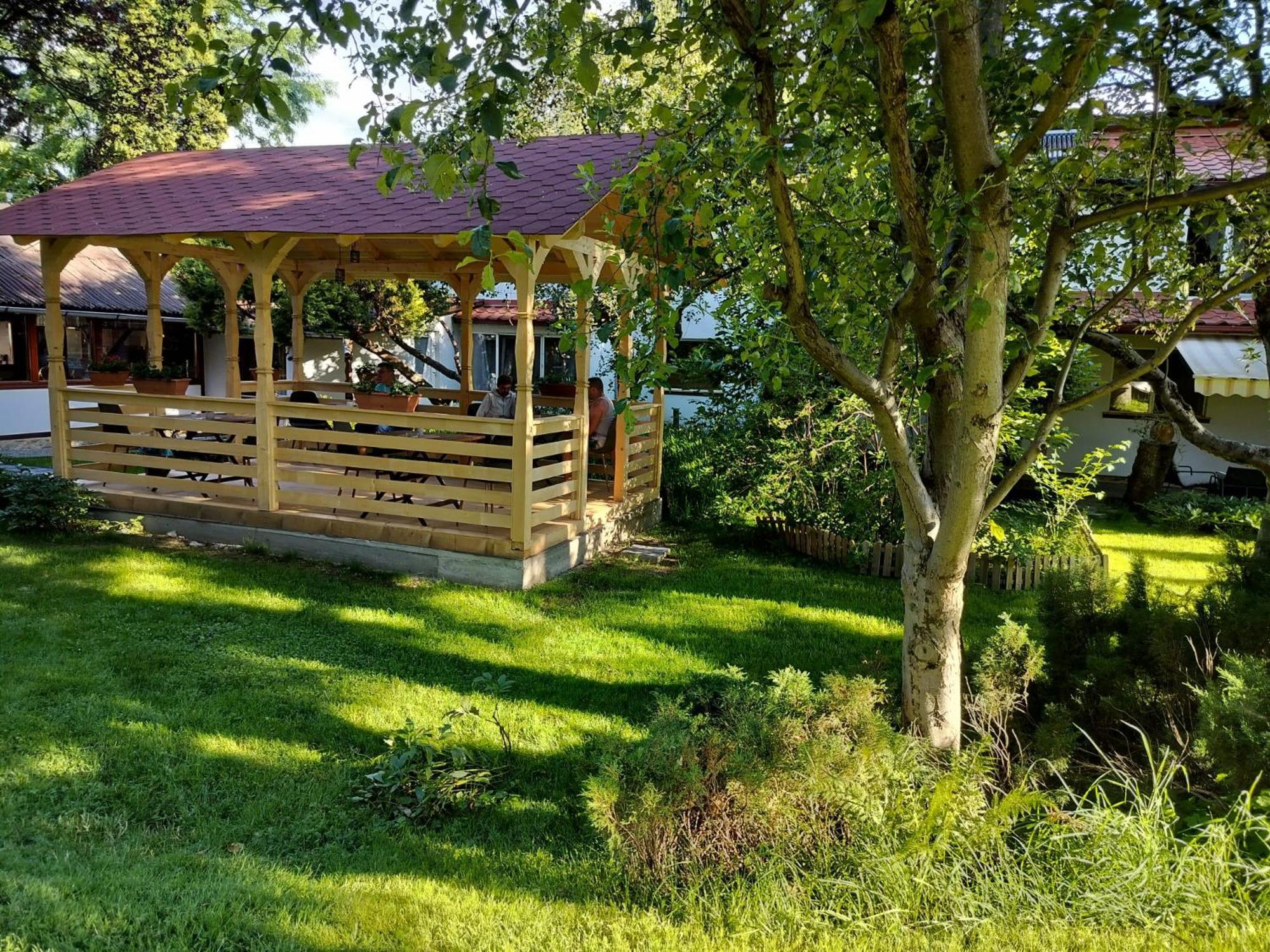 Pension Agnes Вишеу-де-Сус Экстерьер фото