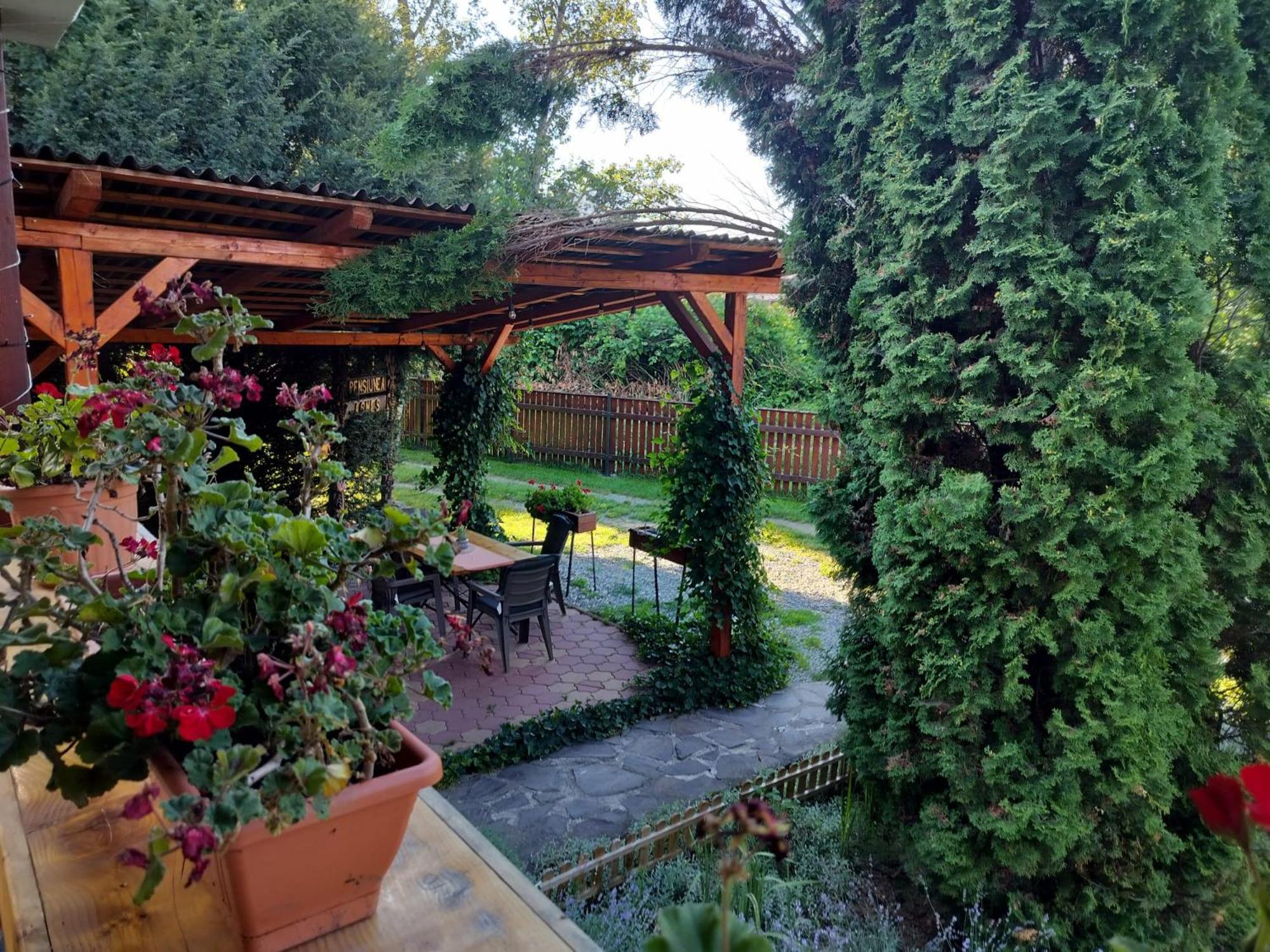Pension Agnes Вишеу-де-Сус Экстерьер фото