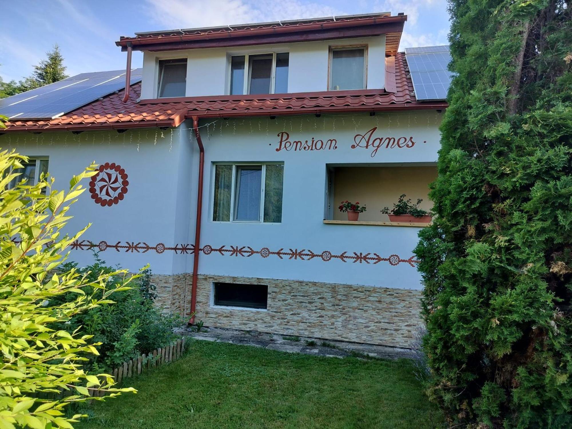 Pension Agnes Вишеу-де-Сус Экстерьер фото